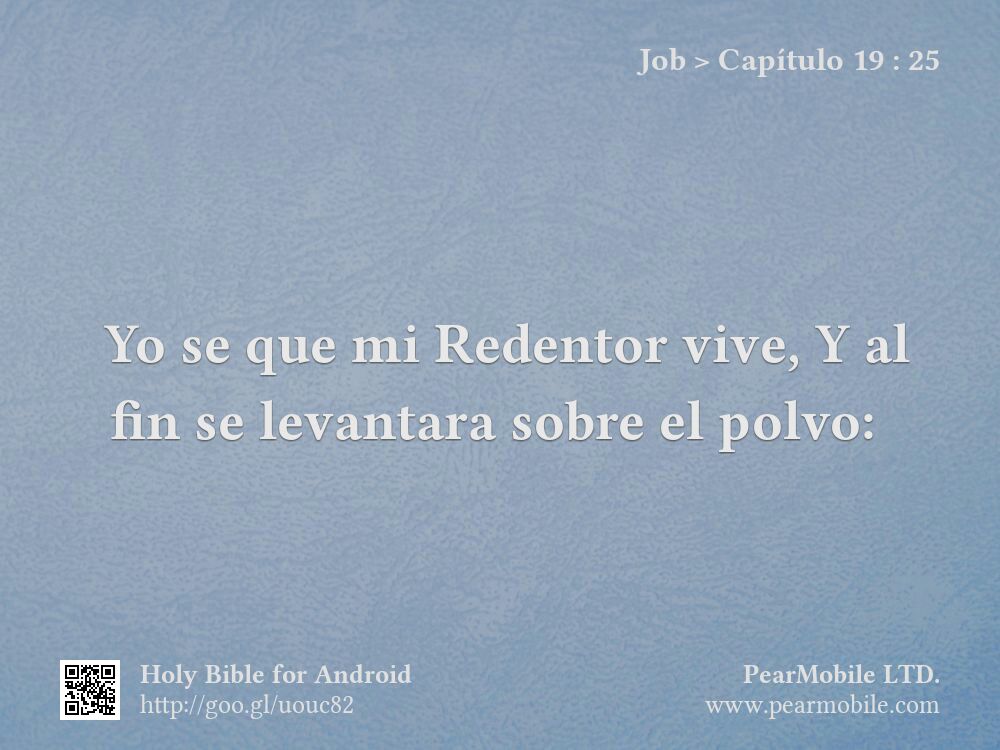 Job, Capítulo 19:25
